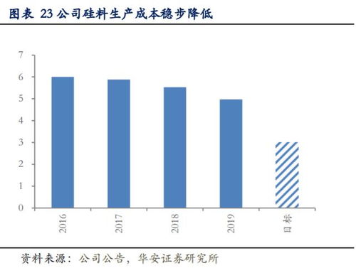 深度解析，东方银星股票的崛起与未来展望