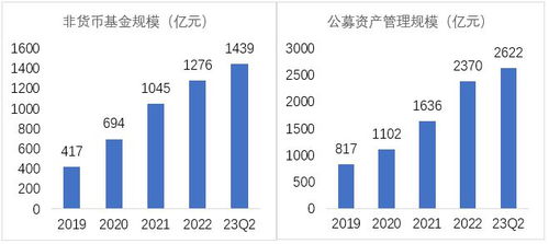 国投瑞银成长基金，稳健投资视角下的成长力量