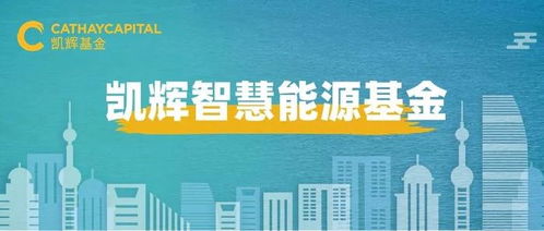 探索金融蓝海，平安大华基金，稳健投资与智慧引领的资产管理力量