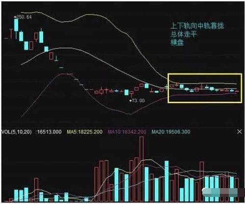 深度解析，掌握股票投资的智慧与策略——详解怎样炒股票