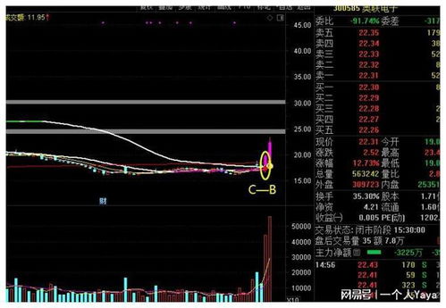 深度解析，解读股票行情图的密码，趋势、指标与投资策略