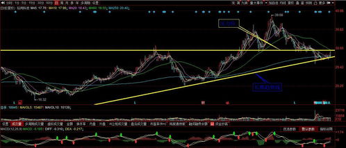 深度解析，股票走势图的看盘艺术与实战策略