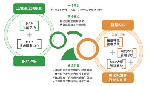 深度解析，金新农股票，现代农业的领军力量与投资机遇