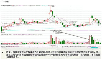 深度解析，郑煤机股票的崛起与投资前景分析