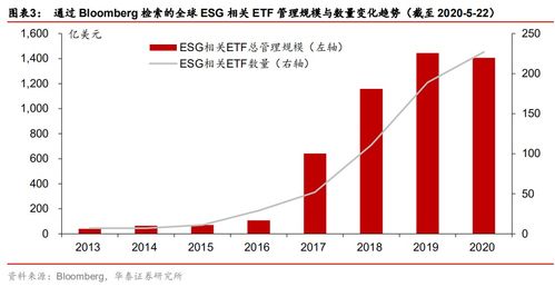 深度解析，股票000793——挖掘价值与投资机遇