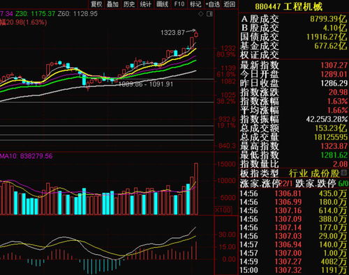 深度解析，股票000793——挖掘价值与投资机遇