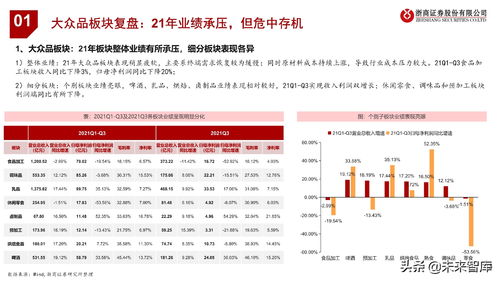 深度解析，东北证券3号产品，投资策略与市场机遇