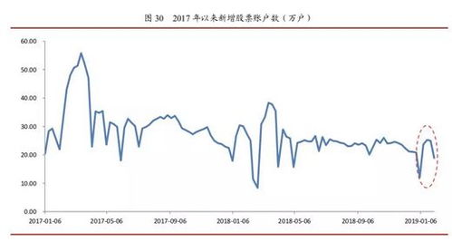 深度解析，000996股票的市场表现与投资机遇