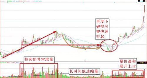 深度解析，600027——探究中国股市的旗舰力量