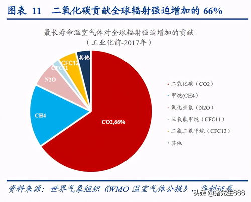 抗洪概念股，洪水中的投资机遇与风险管理