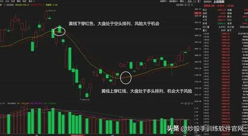 各板块龙头股引领市场新趋势，深度解析与投资策略