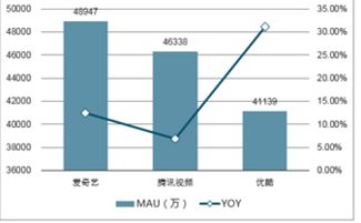 深度解析，银华88精选基金，投资策略与市场前景展望