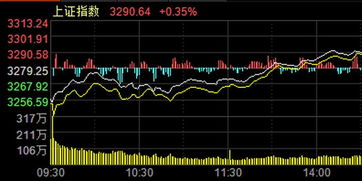 理解XD股票，含义、类型与投资策略解析