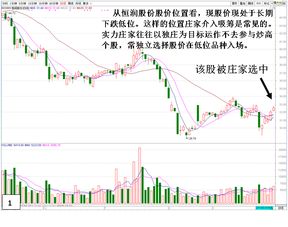 理解XD股票，含义、类型与投资策略解析