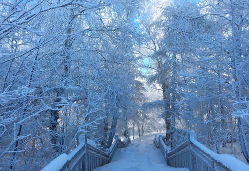 雪迷宫中的伏笔，一场跨越23集的谜题