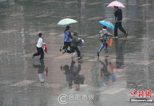 台风中心南京短暂停留的影响与应对