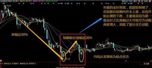 深度解析，北方国际股票，战略机遇与挑战的交织