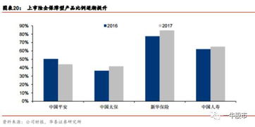 保险龙头股，引领行业风向，投资价值的稳健选择