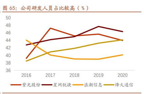 深度解析，凤竹纺织股吧，投资风向与未来展望