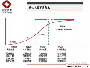 深度解析，山东威达股票的投资价值与市场趋势探析