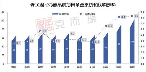 中国石油价格，政策影响与市场变迁的深度剖析