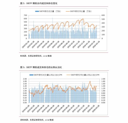 股票期权，金融市场的创新工具与投资策略解析