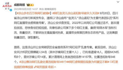 女网红调侃918账号被封事件，网络言论与公共秩序的反思