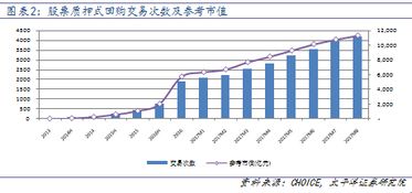 股票质押式回购，金融创新与风险并存的资本游戏