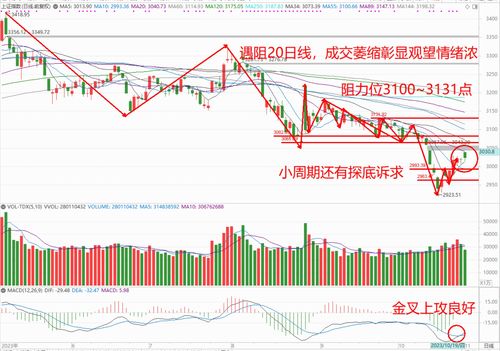 深度解析，稀土永磁概念股票投资攻略——把握行业趋势与投资机遇