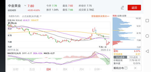 深度解析，中金黄金股票投资策略与前景展望