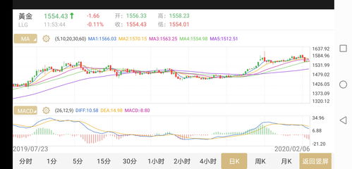 深度解析，中金黄金股票投资策略与前景展望