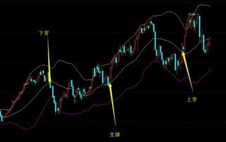 深度解析，布林线指标——交易市场中的隐形守护者