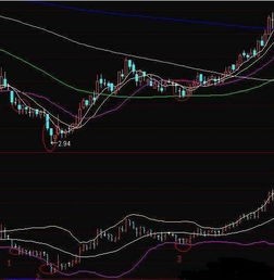 深度解析，布林线指标——交易市场中的隐形守护者