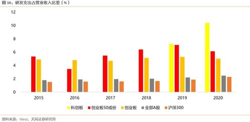 阿里巴巴集团，全球化进程中的美股巨头崛起与未来展望