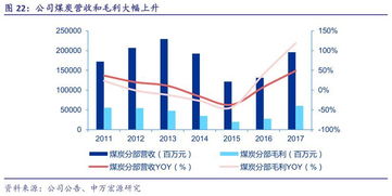 深度解析，中国神华股票，能源巨擘的崛起与转型之路