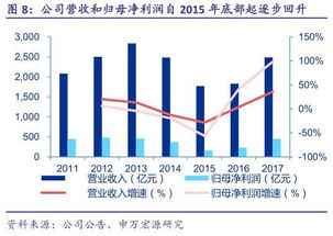 深度解析，中国神华股票，能源巨擘的崛起与转型之路