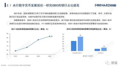 数字货币概念，龙头企业的引领与未来趋势探讨