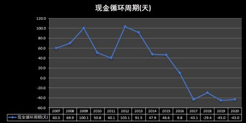 深度解析，股票300101——探寻价值投资的潜在力量