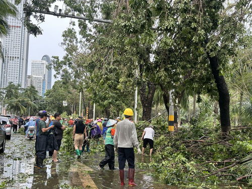 当地回应强拆果园副县长年仅十五岁开始工作的真实情况