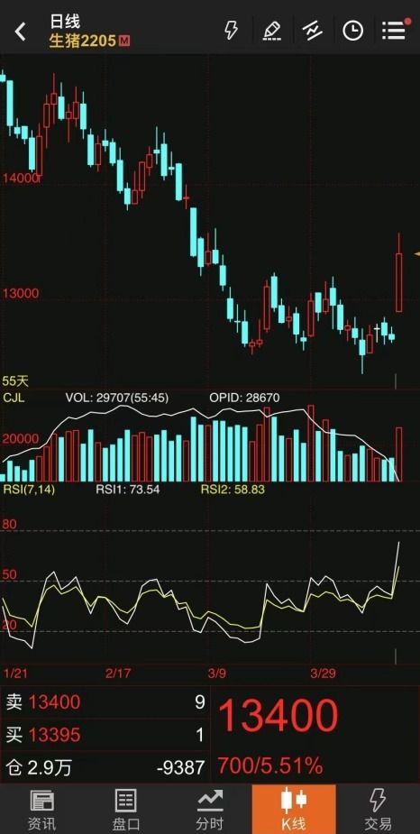 深度解析，银广夏股票的跌宕起伏与投资启示