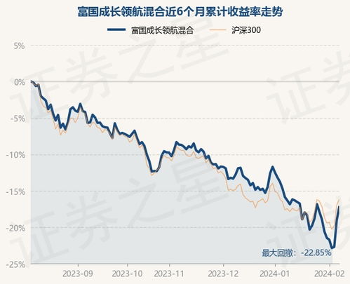 富国成长领航混合基金，投资策略与未来展望