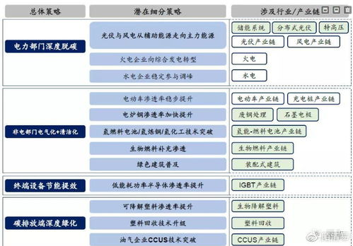 探索创业之光，揭秘创业板代码的深层次含义与市场价值