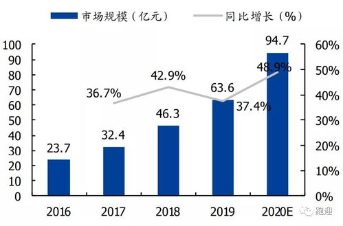 深度解析——探秘股票000886，价值与机遇的交织