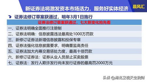 深度解析，证券交易佣金——推动市场活力与投资者权益的微妙杠杆