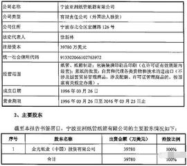 深度解析，博汇纸业股票的投资前景与市场动态分析