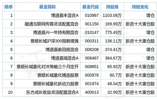 深度解析，博汇纸业股票的投资前景与市场动态分析