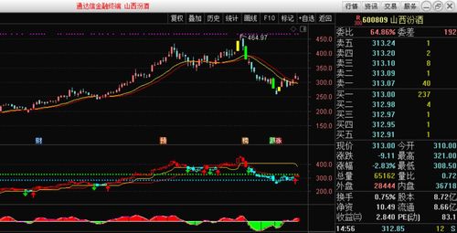 深度解析，股票600185——探索中国经济的旗舰力量