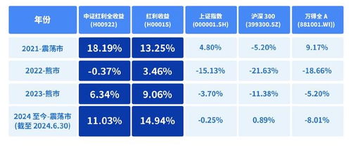 深度解析，融通100基金，投资策略与市场表现的深度融通之道