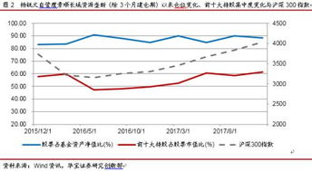 景顺垄断基金净值的深度解析与投资前景展望