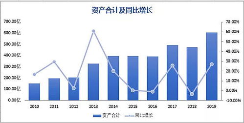 深度解析，海大集团股票的崛起与投资机遇